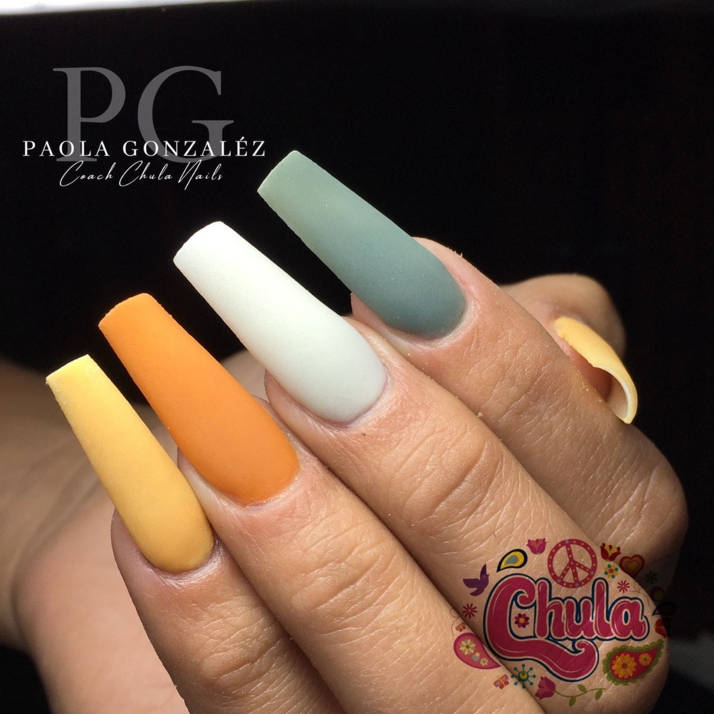 COLECCION DE ACRILICOS ESCARABAJO 4 PZAS. Chula Nails