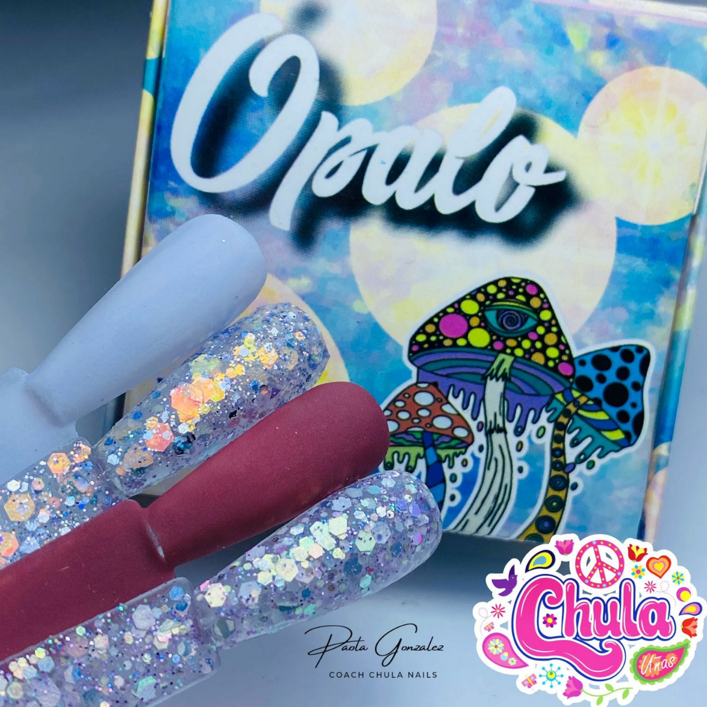 COLECCION DE ACRILICOS OPALO 4 PZAS. Chula Nails