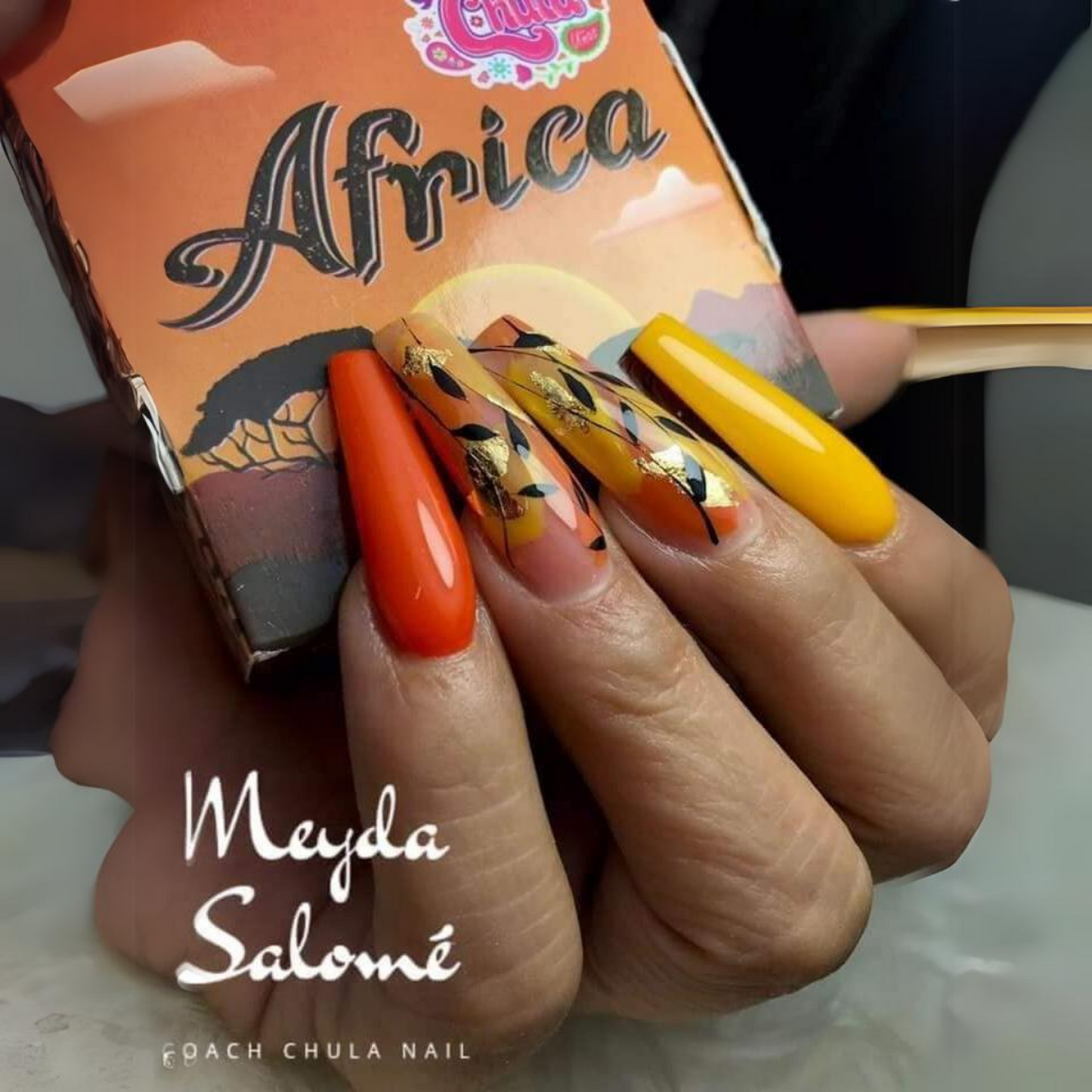 COLECCION DE ACRILICOS AFRICA 4 PZAS. CHULA NAILS